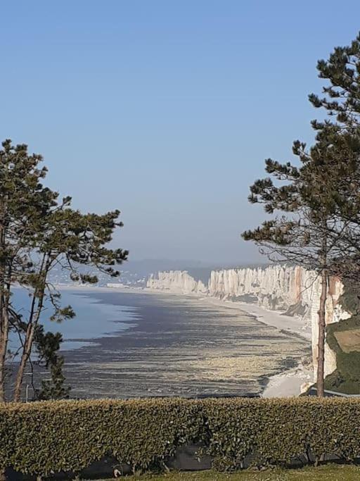 Yport, Maison De Pecheur Avec Jolie Terrasse. 외부 사진